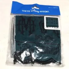 Item thumbnail for item c208da31-399e-4c99-ac7a-fa1e3061e04b