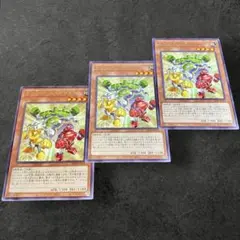 9744【遊戯王】トリコロール・ガジェット　3枚セット