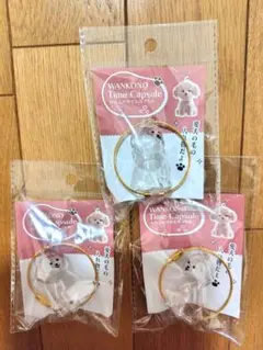 わんこのタイムカプセル　犬　おもちゃ モカ　3個セット