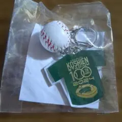 2026年最新】甲子園球場100周年 ボールの人気アイテム - メルカリ