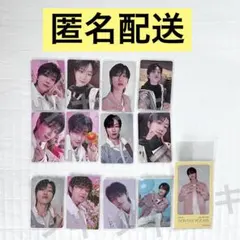 seventeen always yours トレカ the8 ミンハオ コンプ