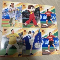 始球式カード ペコ