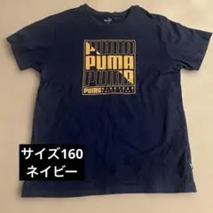 バースデイのサムネイル