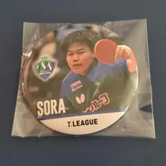 卓球T.LEAGUE Tリーグ缶バッジチャンスくじ2026バタフライVICTAS