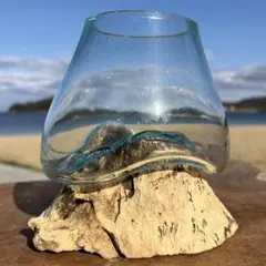 流木ガラスMNW オブジェ 花瓶 多肉植物 金魚鉢 バリ島アート作品 テラリウム