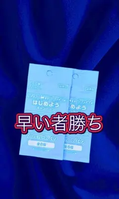 新品未開封　プロモ　2パック　ポケモンカード　ピカチュウ　ゲンガー　レックウザ