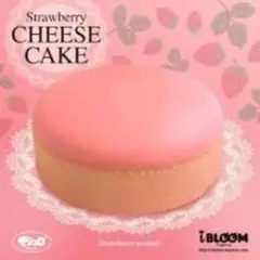 BLOOM スクイーズ おおきなイチゴのショートケーキ レインボー - メルカリ