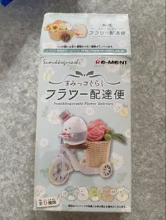リーメント すみっコぐらし フラワー配達便　とかげ&とかげ（本物）　廃盤
