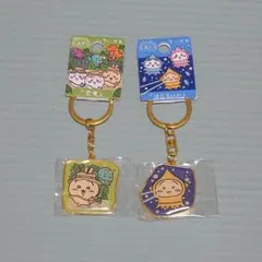 うさぎ ご当地キーホルダー 2点セット 恐竜 ほたるいか