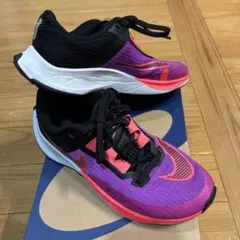 Item thumbnail for item 5a5a6864-8e86-4593-9ffa-e5667ad1b056