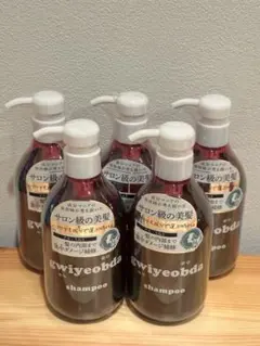 gwiyeobda シャンプー 5本セット サロン級ダメージ補修のサムネイル