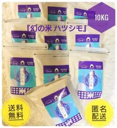 【明日まで限定値引き！】幻の米 ハツシモ 岐阜県産 10kgのサムネイル