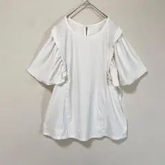 ラッフルスリーブブラウス　カットレース袖フリルプルオーバー