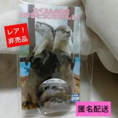 レア　非売品　ツメナシカワウソ　双子　伊勢　缶バッジのサムネイル