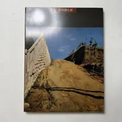 岸田劉生　没後50年記念　図録　油絵　日本洋画　作品集