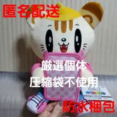 ジェ猫 GENERATIONS カードケース付きBIGぬいぐるみ 小森隼