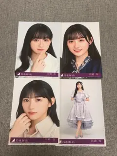 Item thumbnail for item 8b7c2fa5-f00b-49da-8342-2c65bcc6238a