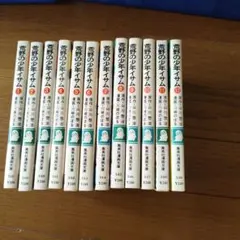 荒野の少年イサム 全巻セット 集英社漫画文庫