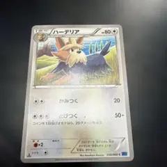 ハーデリアのサムネイル