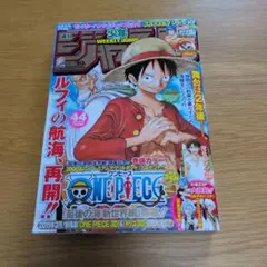 週刊少年ジャンプ 2010年44号 ONE PIECE巻頭カラー - メルカリ