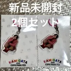 신품 미개봉 KAMIGATA 2026 아크릴 매력 道枝駿佑 2 점 세트