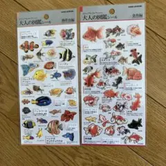 大人の図鑑シール　金魚編　熱帯魚編　２枚