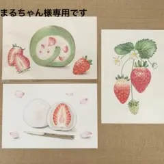 まるちゃん様専用です　色鉛筆画