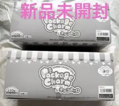 未開封BOX） サンリオ パッケージチャーム 10個入り 2BOX - メルカリ
