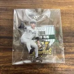 阪神タイガース 優勝記念 アクリルスタンド 桐敷