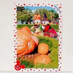 ディズニー スペシャルフォト 2013 ハロウィン ドナルド デイジー