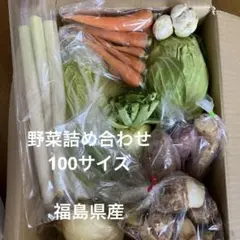 訳あり野菜セット 福島県産　野菜詰め合わせ100サイズ