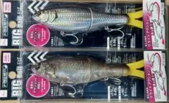 Item thumbnail for item a9a3b7e8-9752-4b39-841d-8bdd4c059e0c