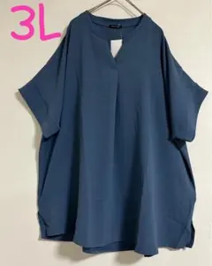 Item thumbnail for item 81252767-e706-4318-9534-6a4c8b907f29