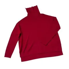 BEAUTY&YOUTH UNITED ARROWS タートルネックニット