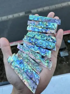 アワビ貝　ニュージーランド産　10枚　ルアー螺鈿細工ハンドメイド　ハンドクラフト
