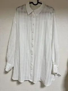 PAGEBOY ページボーイ ホワイト 長袖シャツ Fサイズ　シアーシャツ