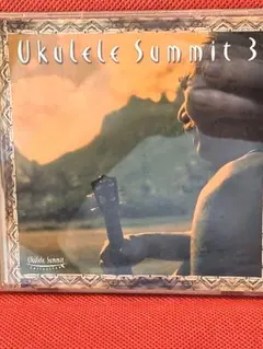 Ukulele Summit Beach　Boys