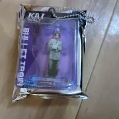 超特急　real? カイKAI アクリルスタンド