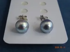 あこや真珠ナチュラルグレー9㎜　SV925ピアス