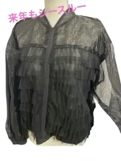 ❤️オシャレな人は冬も来年もシースルージャケット 黒