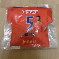 アルビレックス新潟 舞行龍ジェームズ マッチデークッション