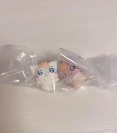 ナッツとココセット