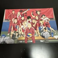 ハイキュー ゴミ捨て場の決戦 33.5巻音駒高校 集合写真