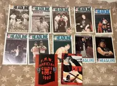 Item thumbnail for item a2a90c34-d2b6-4e60-80ac-2f562a232735