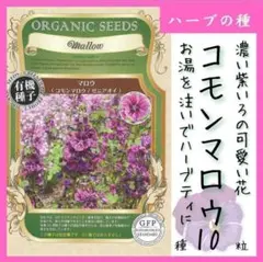 【ハーブの種】「コモンマロウ/ゼニアオイ」種１０粒紫の可愛い花のサムネイル