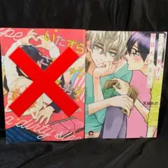 BL 2冊500円 組合せ自由  夏川あらた　天城れの