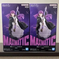 MAXIMATIC FERN フェルン 2個セット