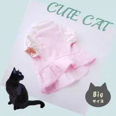 猫服SALE【キャミソールワンピ＊ピンク】Bigサイズ　ハンドメイド