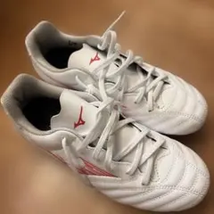 Item thumbnail for item f2e0fefe-68e3-4704-b7ae-2d079c9138df