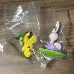 ポケモン しとしとあまやどり ヌメイル ピカチュウ